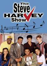 Watch The Steve Harvey Show Myflixer