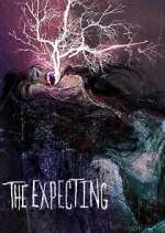 Watch The Expecting Myflixer