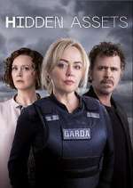 Watch Hidden Assets Myflixer