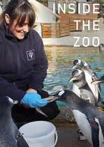 Watch Inside the Zoo Myflixer
