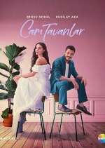 Watch Cam Tavanlar Myflixer