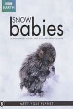 Watch Snow Babies Myflixer