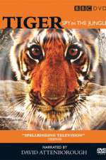 Watch Tiger: Spy in the Jungle Myflixer