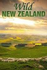 Watch Wild New Zealand Myflixer